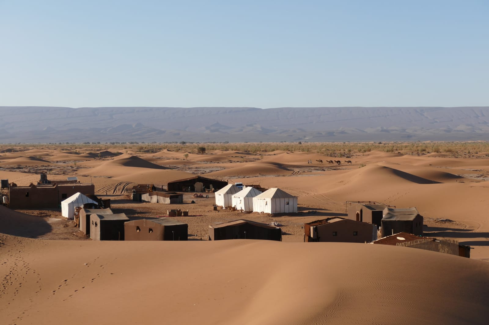 Camp Overview
