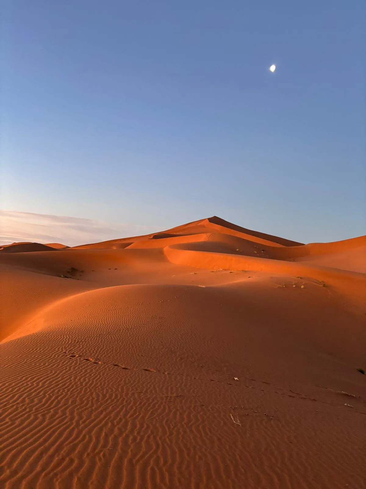 Desert Dunes Crescent Moon