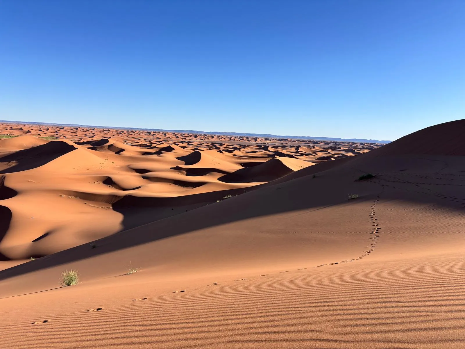 The impressive 300m high dunes of Erg Chigaga
