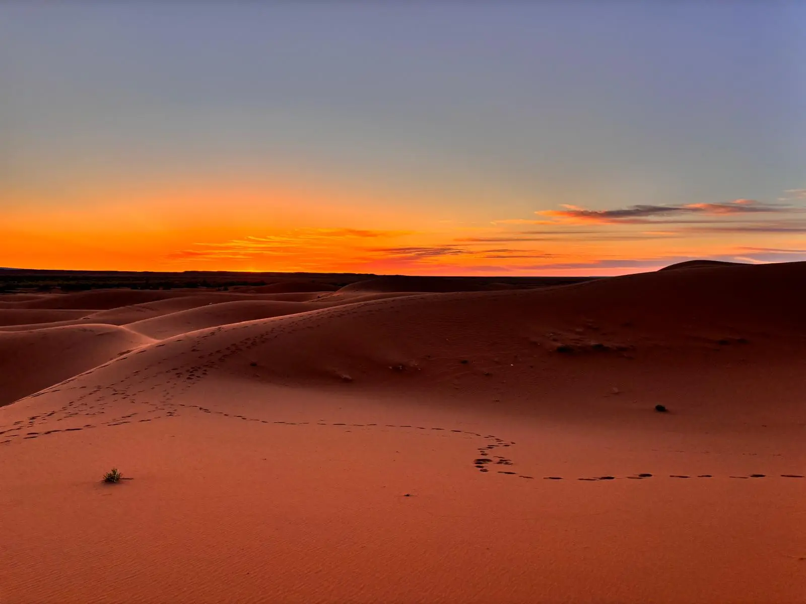 Striking desert sunset over orange and red sand dunes with footprints, the sky a gradient of orange, red, and blue.