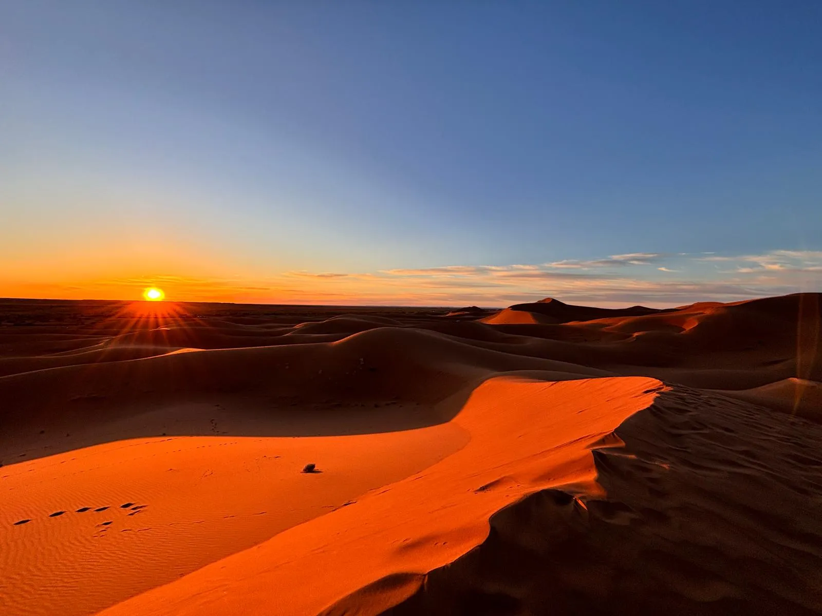 Desert Sunset